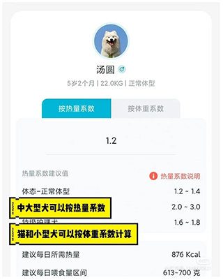 嗷呜猫狗食谱最新下载
