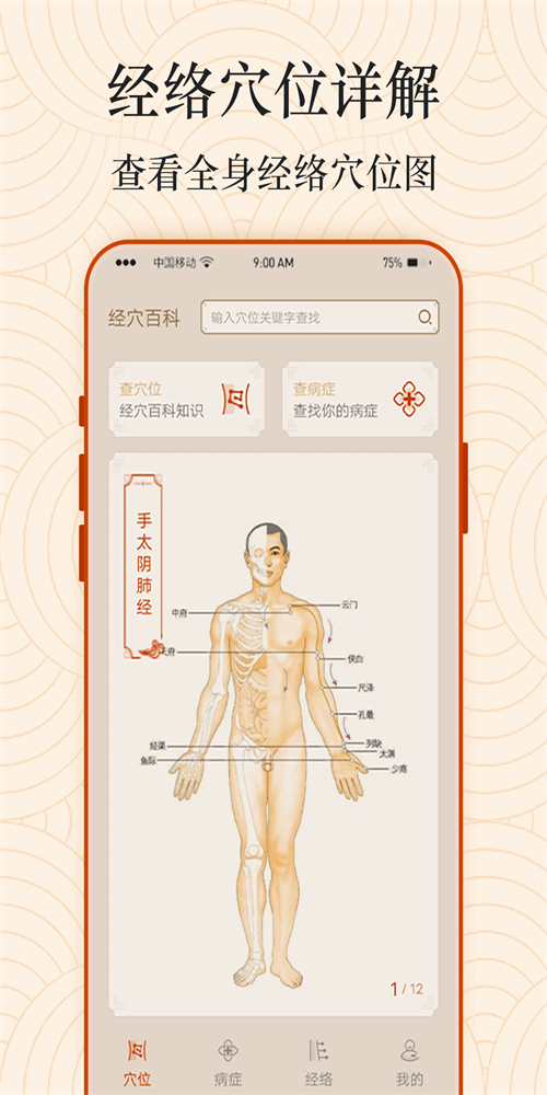 经络穴位图安装下载