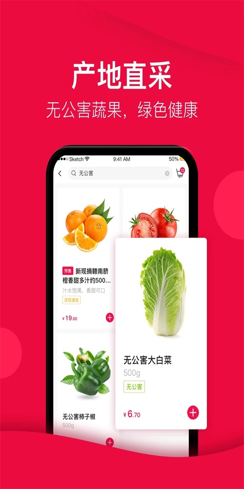 大美买菜1.0下载