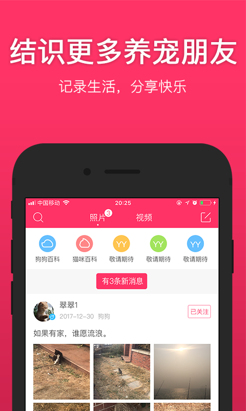 养养宠物完整版下载