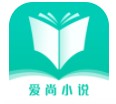 爱尚小说app安装软件