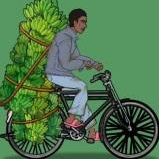 奥德彪拉香蕉逆袭记免广告