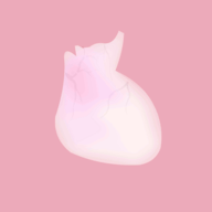 LIFE(生命模拟器)